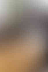 detalhe aparador de madeira