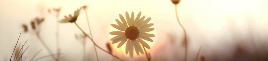 Formations prérequis