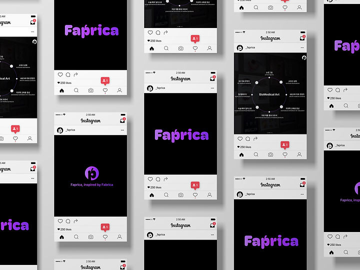 faprica_2.jpg