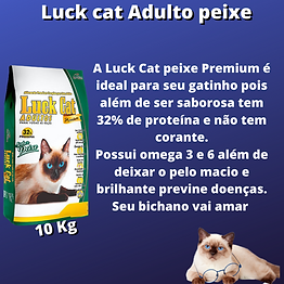 Inserir um subtítulo (29).png