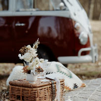 Romantisches Picknick