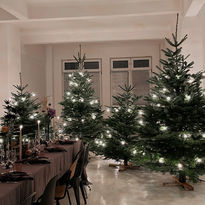 Indoor Weihnachtsfeier mit Weihnachtsbäumen