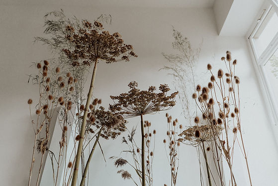 Trockenblumen Dekoration