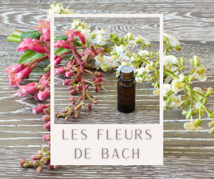 Les Fleurs de Bach