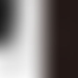 そのもののある不自然なる実体