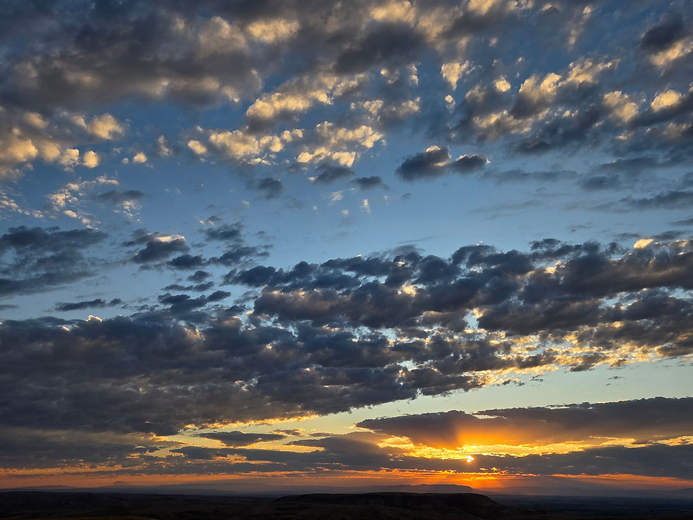 Beyond the Divide: Finding Common Ground in Conservation