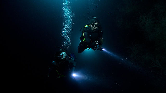 Night-Diver.jpeg