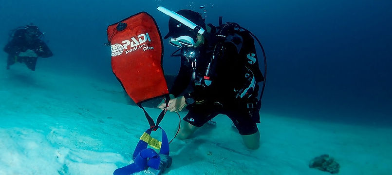 SEARCH AND RECOVERY DIVER