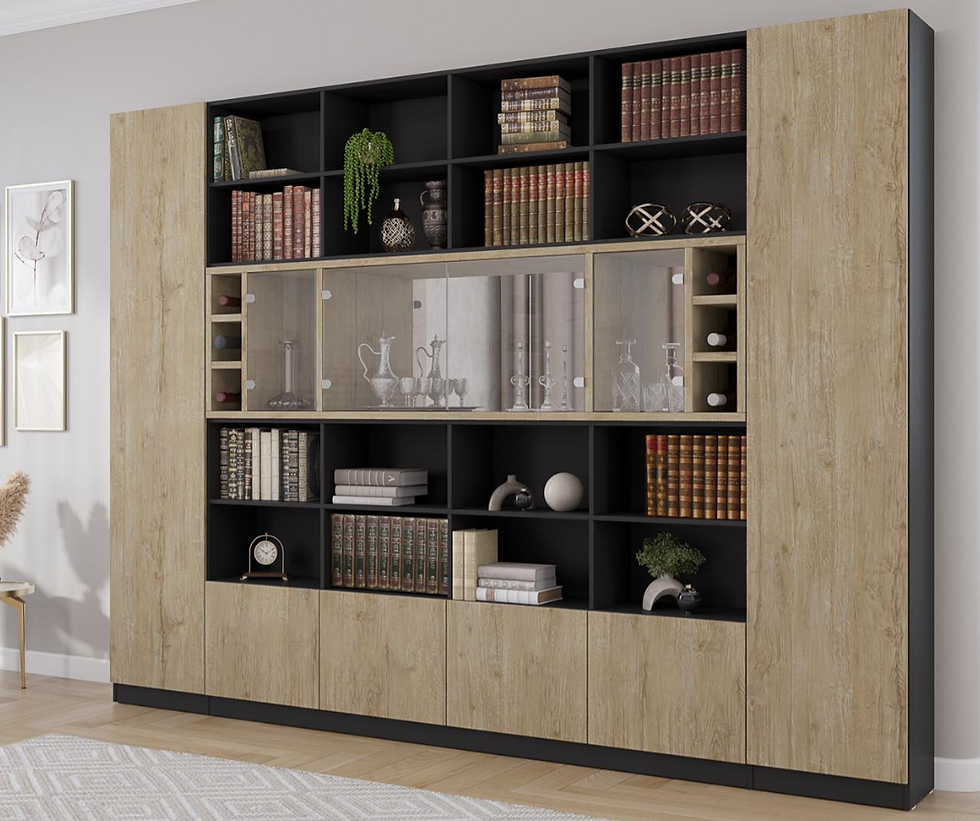 ספריית קודש עמנואל