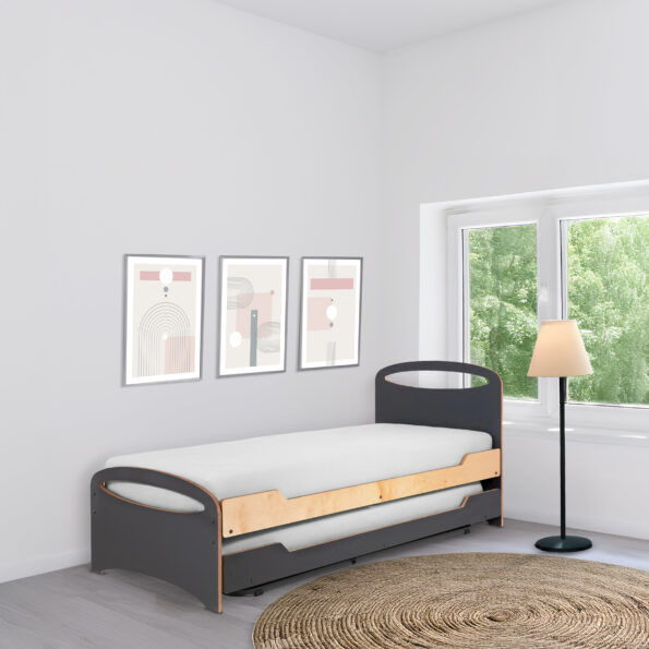 מיטת נוער רוני