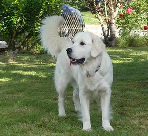 IMG-20260512-WA0013.jpg