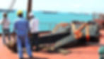 DSCF3028.JPG