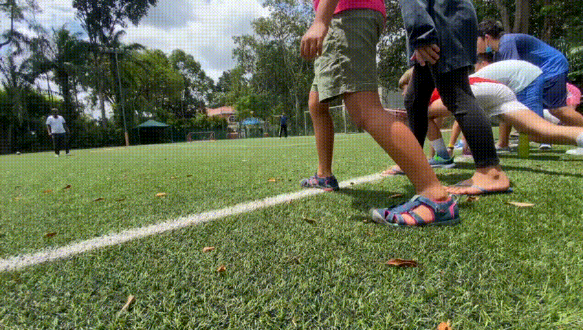 WhatsApp-Video-2021-09-27-at-4.03.57-PM-_1_.gif
