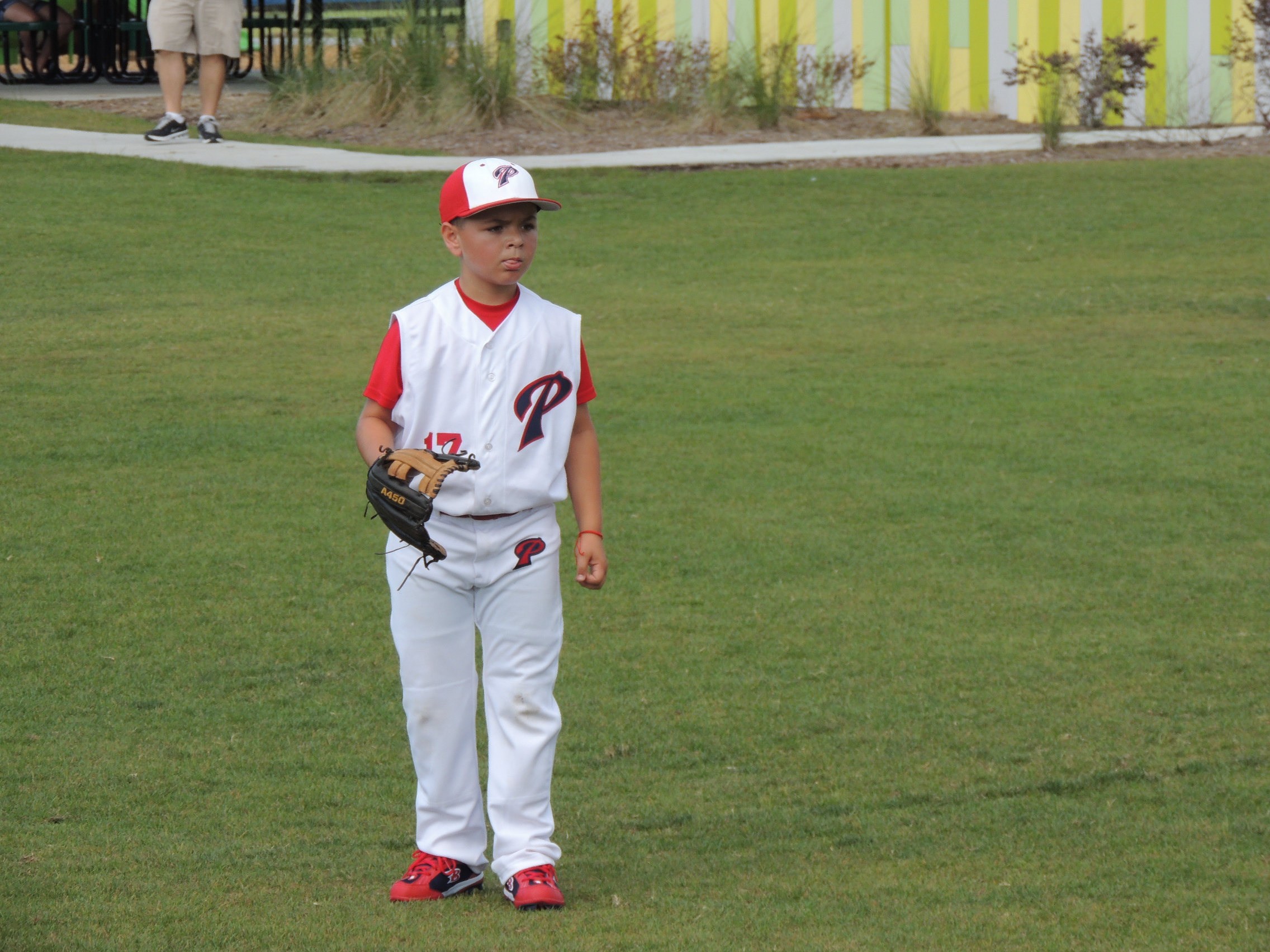 Miami Prospects Baseball Team Album Baseball Youth Myrtle Beach SC Home