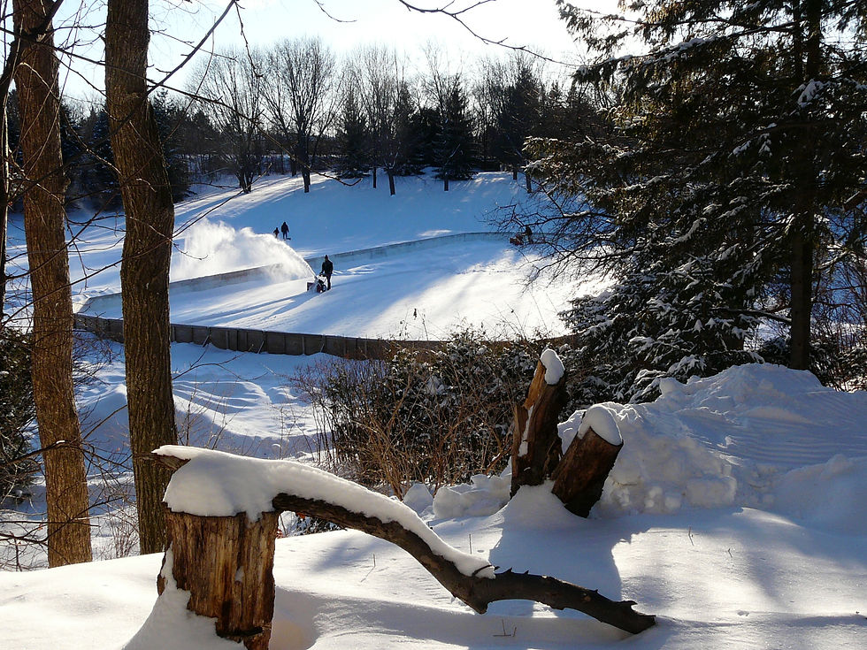 Overlooking the rink