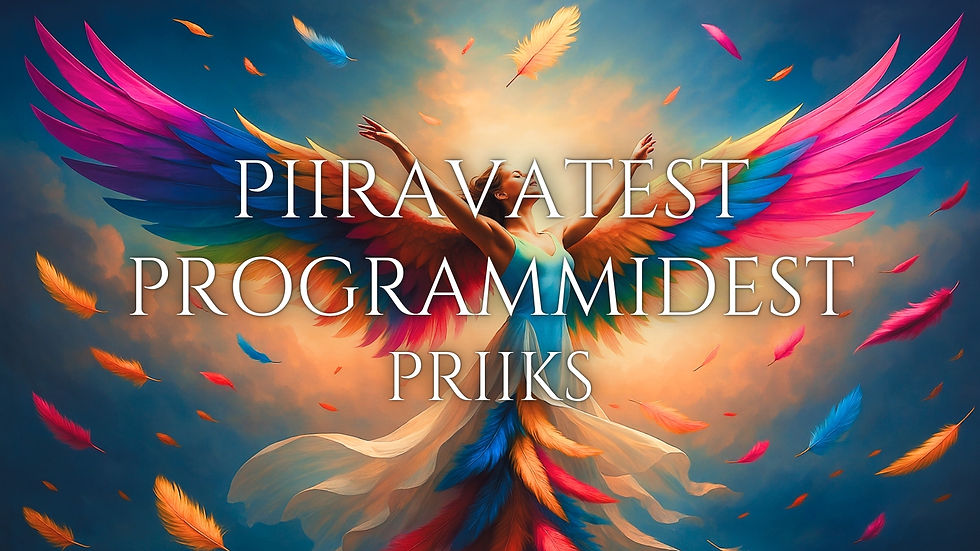 Sales page - Piiravatest programmidest priiks.jpg