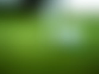 Decoding Golf Jargon: What is an Albatross?