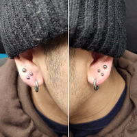 Picture of earlobe piercings, and stacked earlobe piercing