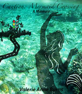 Introduction to My Book and Purpose