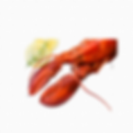 12.png