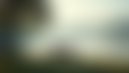 Living an Authentic Life: Tips and Insights