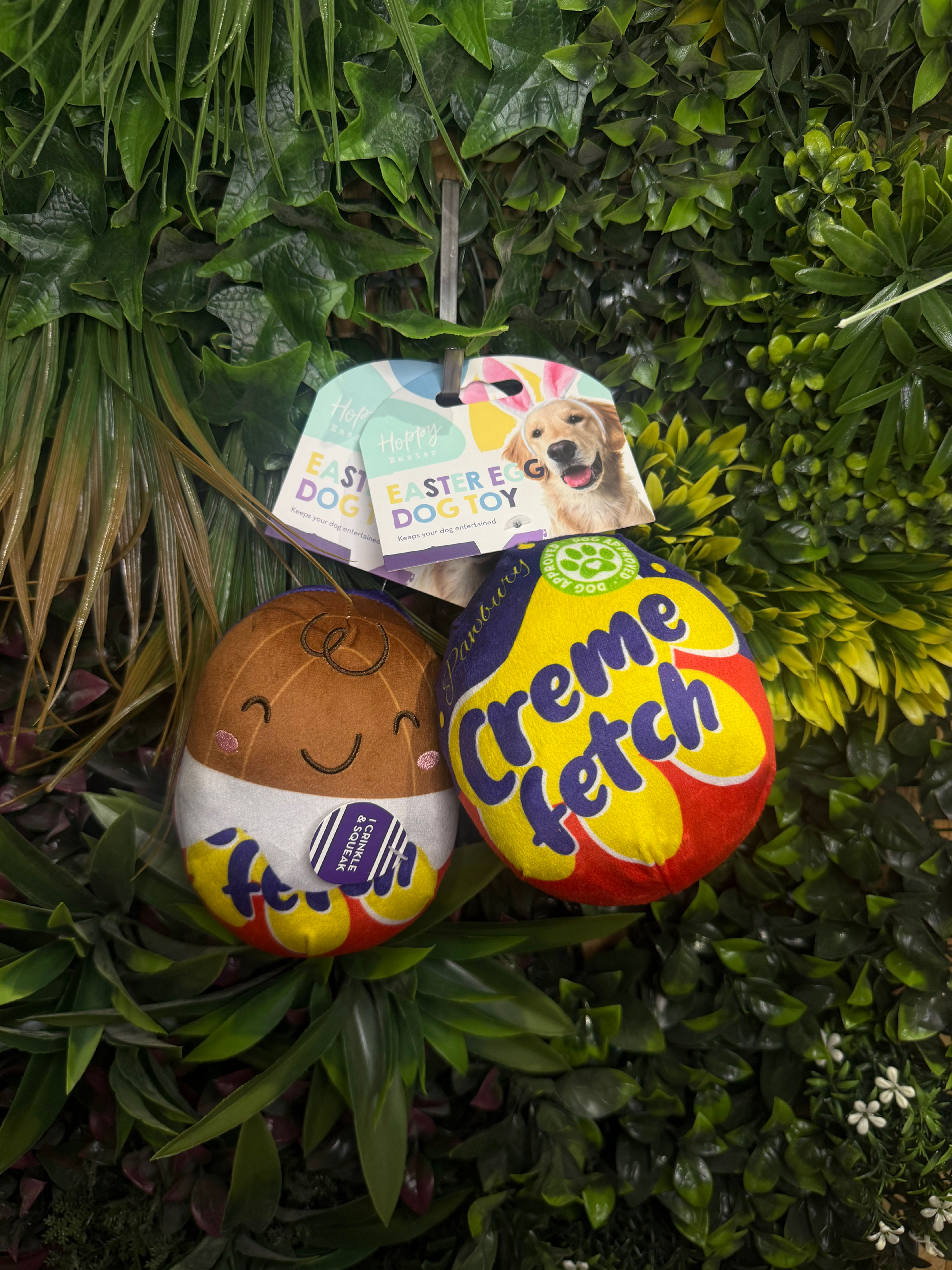 Crème Fetch Dog Toy