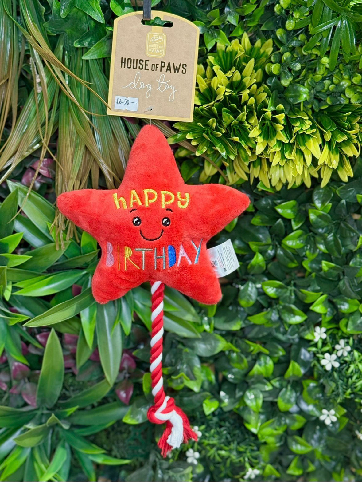 Birthday Star With Rope Dog Toy