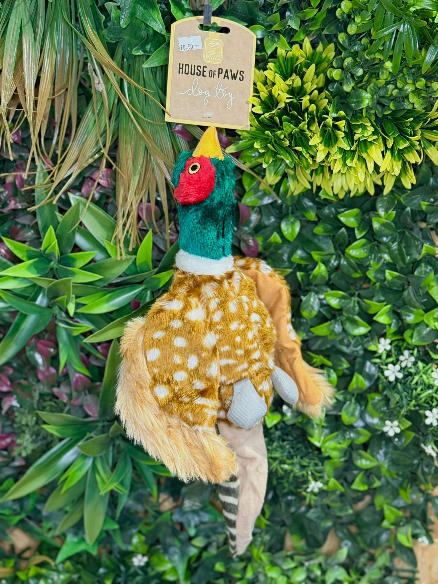 Plush Pheasant Dog Toy