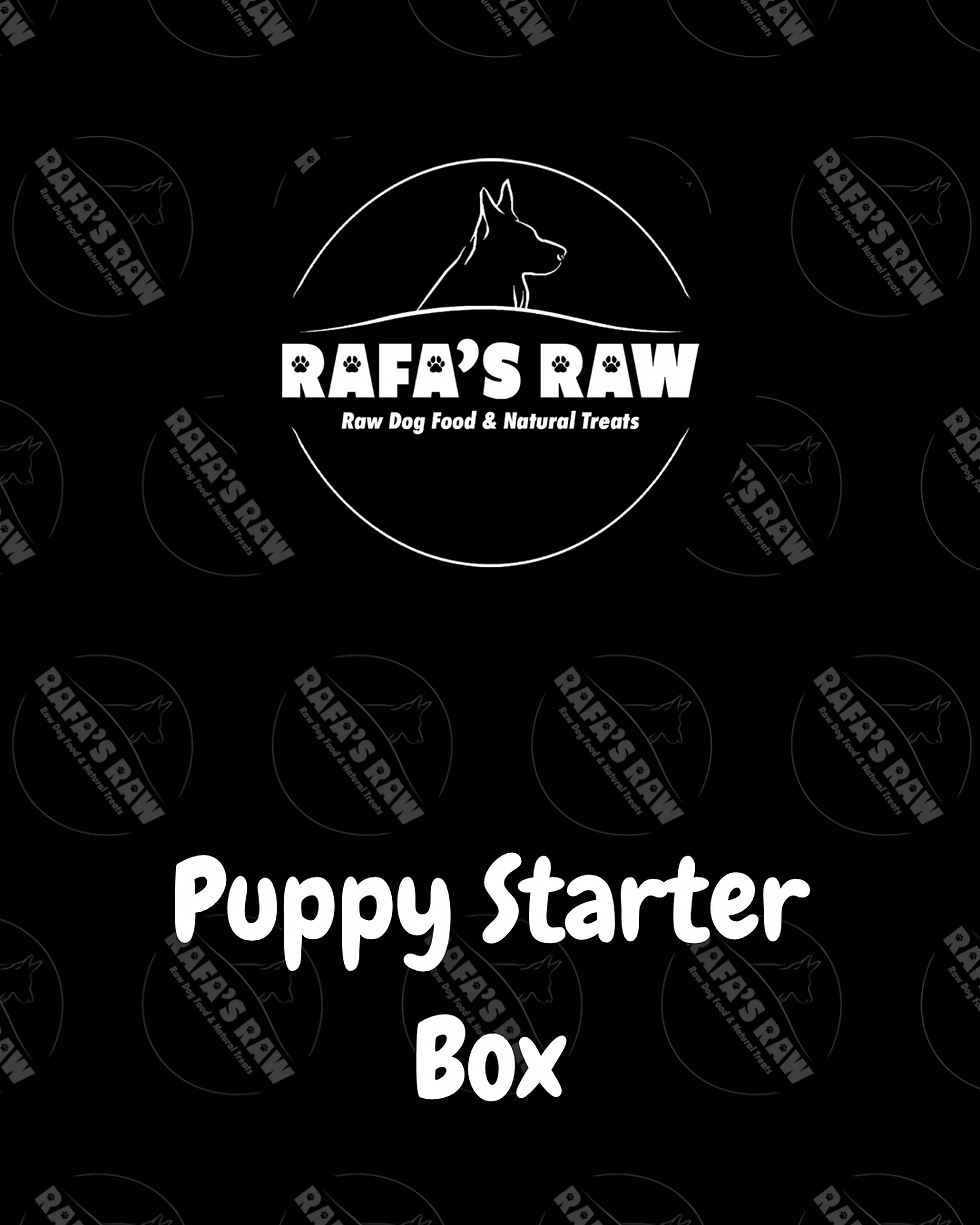 Puppy Starter Box