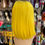 Thumbnail: It's Always Sunny Wig