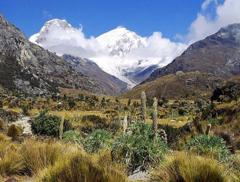 laguna6910