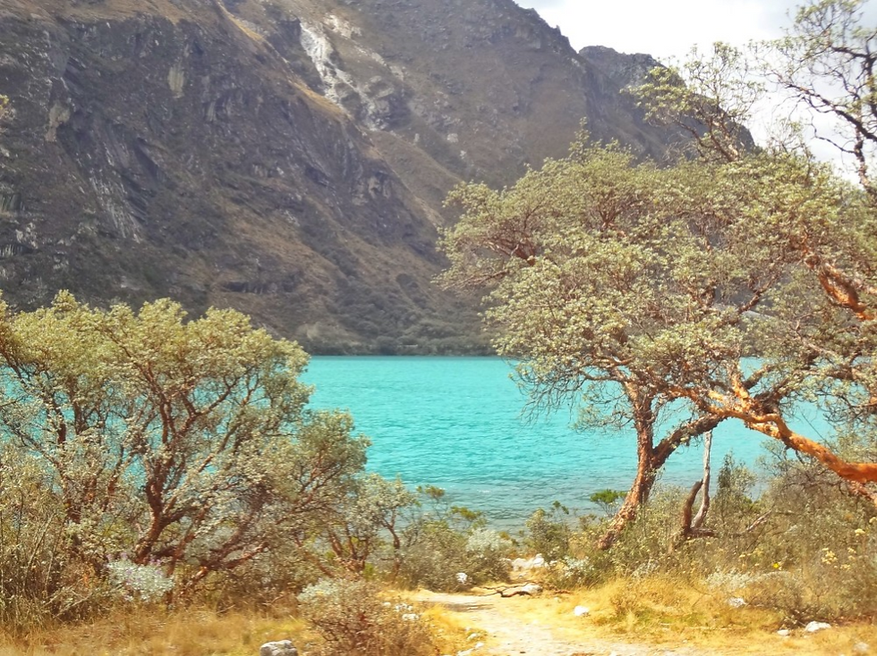 laguna695