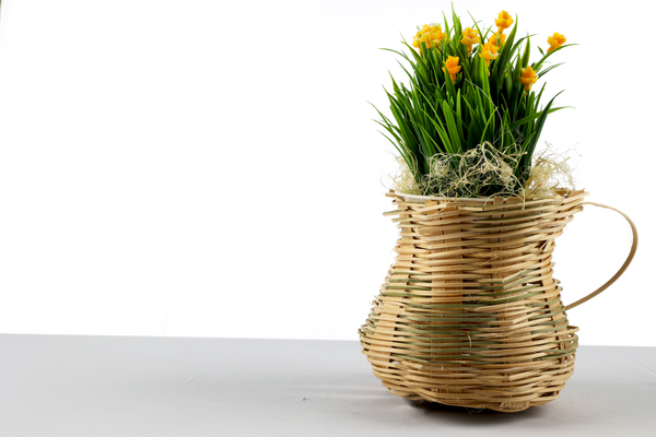 Edited-vase1.png