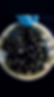 090B5A31-FB24-4FF6-8916-099B4BD28E0B.jpg