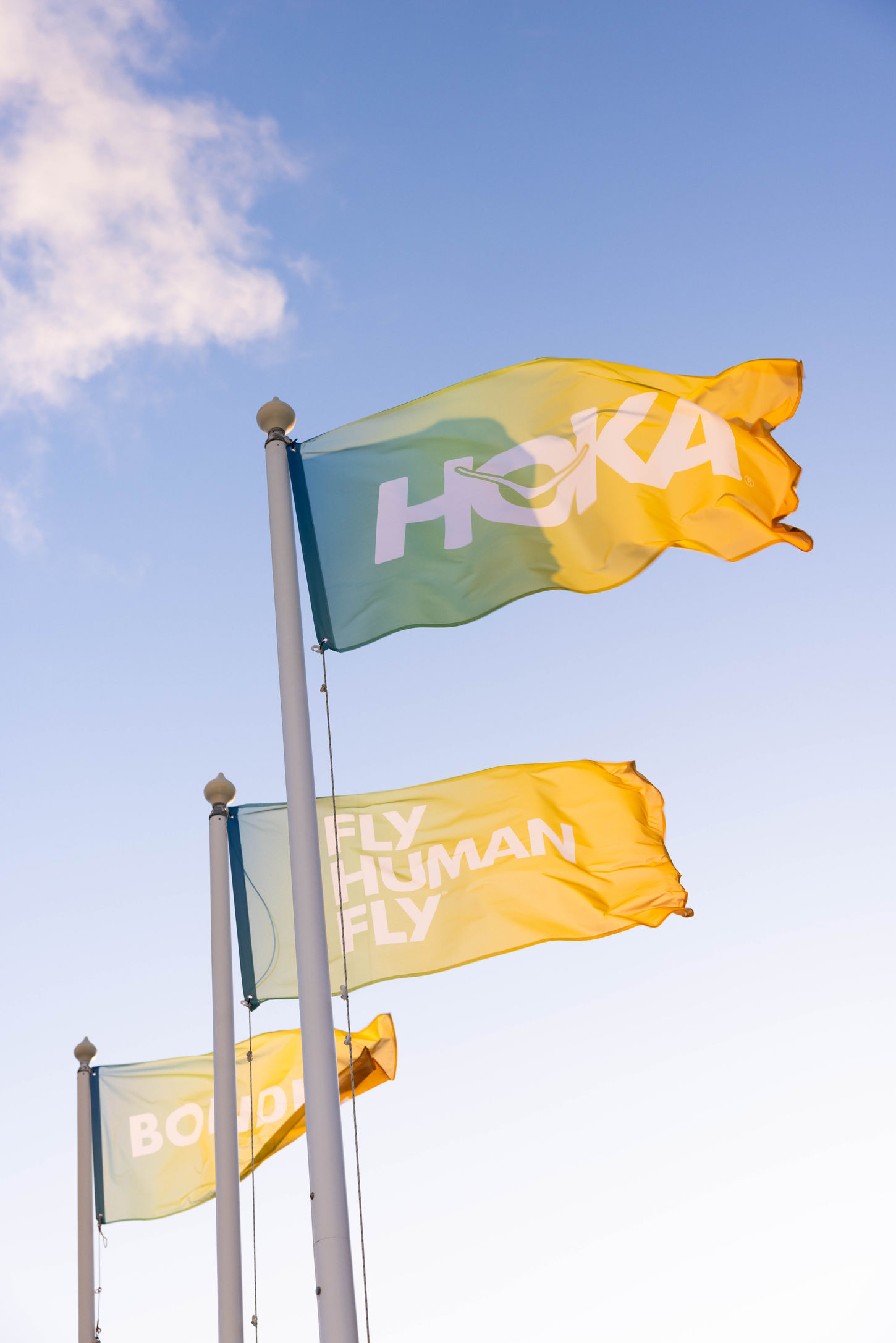 HOKA BONDI 8 Event 1 .jpg