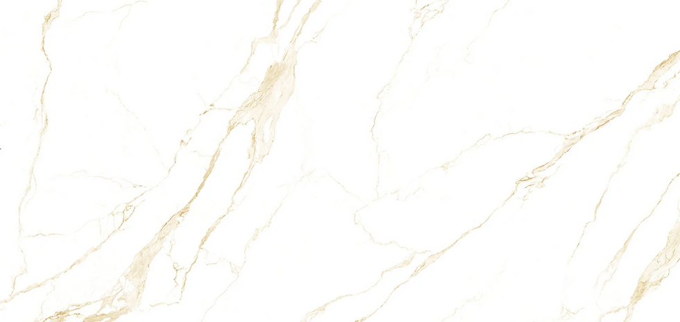 CALACATTA GOLD X_SLAB.png