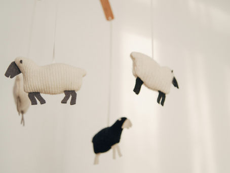 The Therapist’s Nursery: How Our Beginnings Shape the Healers We Become