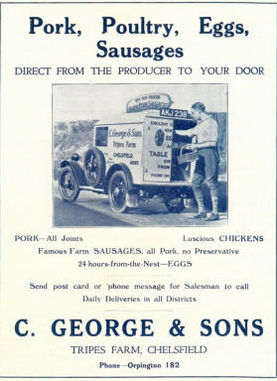 Tripes Farm poster