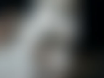 Navigating Opinions and Facts: From the First to Fifth Opinions