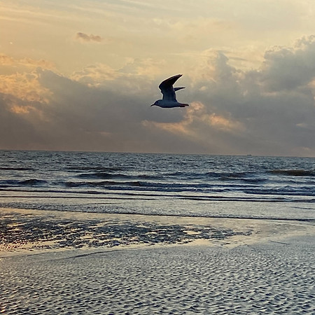 Lebenslust am Meer