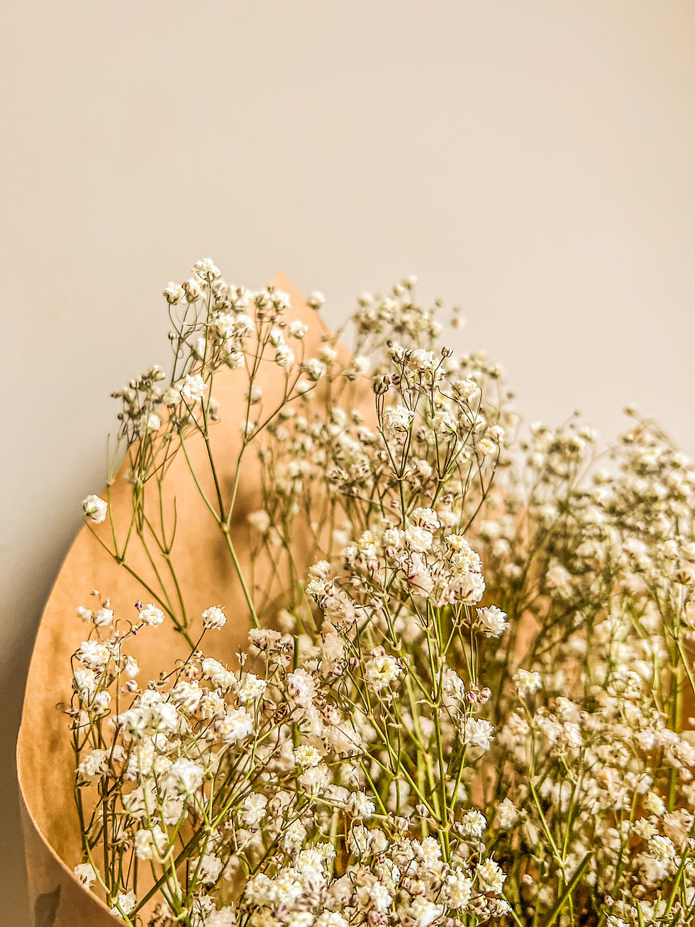 Thumbnail: Dried Baby's Breath Bunch