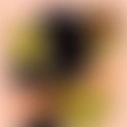 Notas breves: o romance e os romances