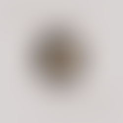 Anália Franco: "Impressões do Natal"