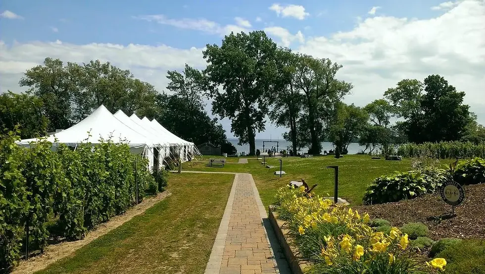 waupoos-winery.webp