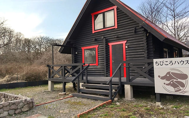 日本最大級 ちびころ様確認用 カトラリー スプーン等 日本最大級 ちびころ様確認用 カトラリー スプーン等