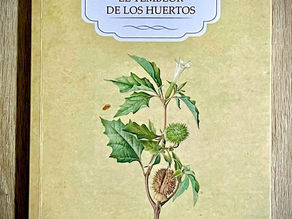 El temblor de los huertos: croquis extendido