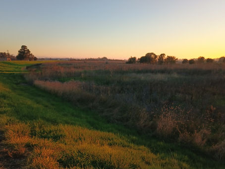 Walking around the neighborhood