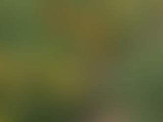 Get out while you can