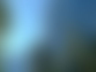 No Reservations for Yosemite in 2026