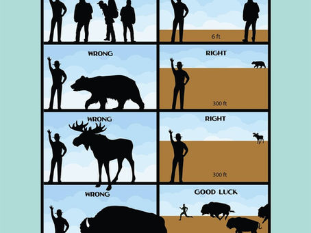 How to AVOID calling SAR